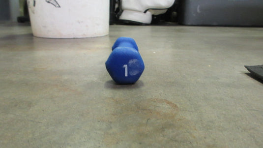 Used Neoprene Dumbbell 1lb - Blue