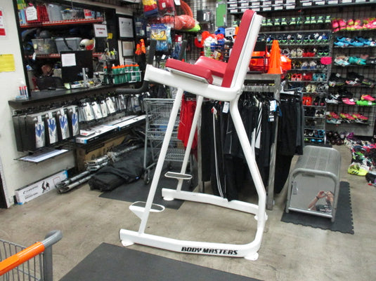 Used Body Master Vertical Knee Raise, Dip Station