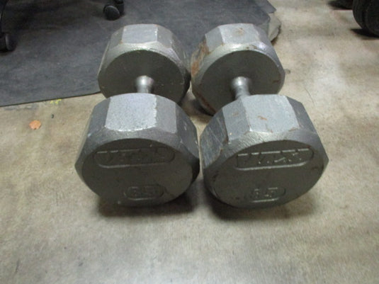 Used VXT Cast Iron 85LB Dumbbell - Pair
