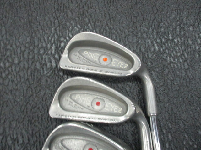 Load image into Gallery viewer, Used Ping EYE 2 Iron Set 1-W , SW
