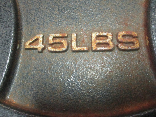 Used Fitness Gear Cast Iron 45LB Weight Plate