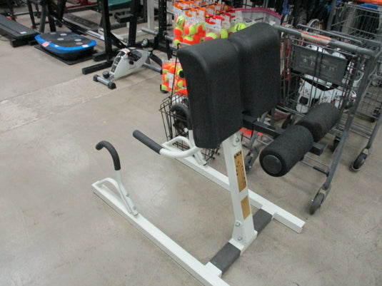 Used Back Revolution Stretch Machine