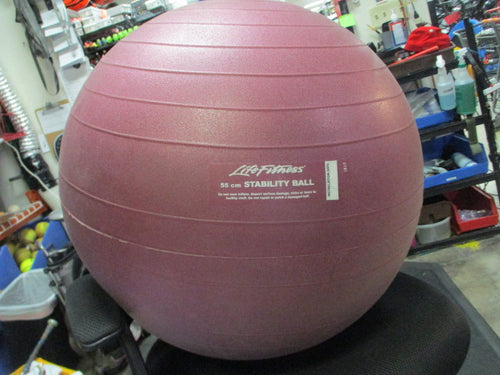 Used Life Fitness 55cm Stability Ball