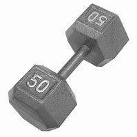 NEW Apollo Athletics 50 LB Hex Dumbbell
