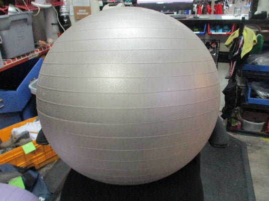 Used Silver Exercise Stability Ball