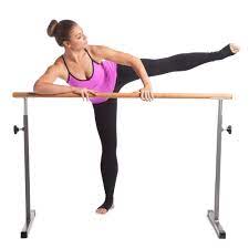 New Gofit Go Barre Ballet Bar