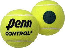 New Penn Control + Tennis Balls - 3 Pack Can
