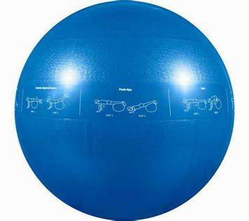 New GoFit 55CM Professional Stability Ball