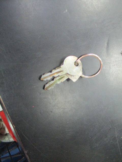 Load image into Gallery viewer, Used Thule Sweden Ski/Snowboard Roof Rack W/ Keys
