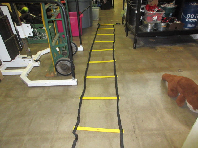Load image into Gallery viewer, Used Sklz Quick Agility Ladder - 12'
