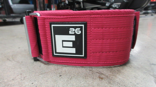Load image into Gallery viewer, Used Element 26 Self Locking Lifting Belt Size XS
