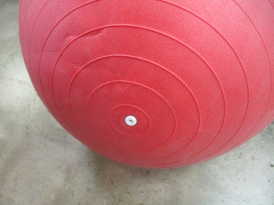 Used Everlast 55CM Exercise Ball