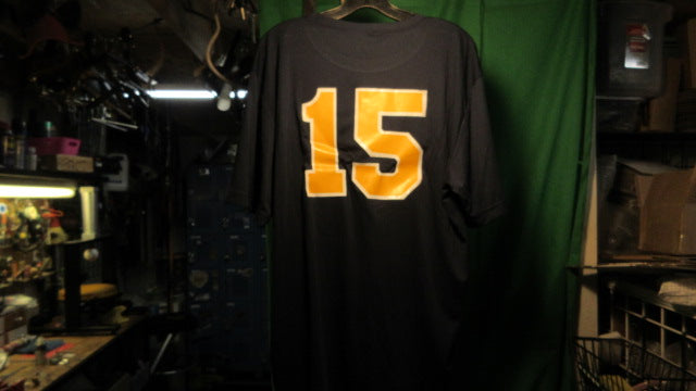 Load image into Gallery viewer, Used Sport-Tek Swarm Baseball Jersey - Size Large
