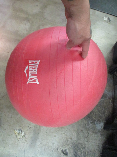 Used Everlast 55CM Exercise Ball