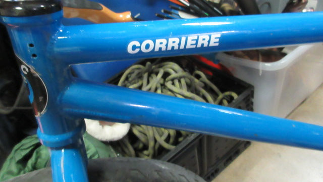 Load image into Gallery viewer, Used FBC FitBikeCo Corriere 20" Fat Tire BMX BIKE
