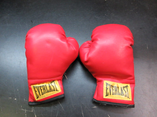 Used Everlast Vinyl Youth Boxing Gloves