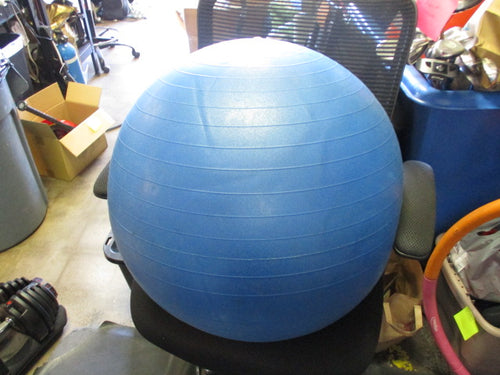 Used 24 hours Fitness 43CM Exercise Ball