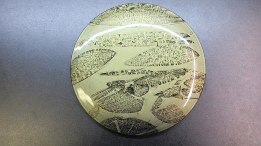 Used Disc Golf Frisbee