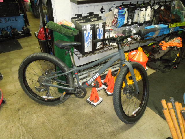 Load image into Gallery viewer, Used REI Co-op Cycles REV 24 Youth Mountain Bike

