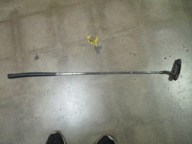 Load image into Gallery viewer, Used Ping Pal Karsten 35&quot; Putter - RH
