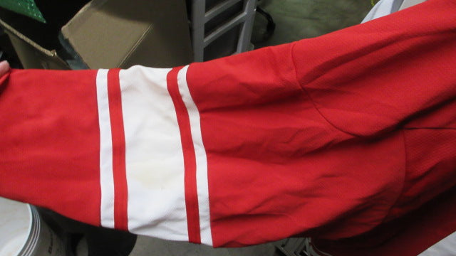 Load image into Gallery viewer, Used AZ Ice All Stars Heiden 10 Hockey Jersey Adult Size Medium - stain
