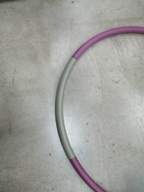 Load image into Gallery viewer, Used Gold's Gym Weighted Fitness Hoop
