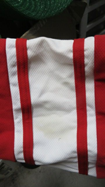 Load image into Gallery viewer, Used AZ Ice All Stars Heiden 10 Hockey Jersey Adult Size Medium - stain
