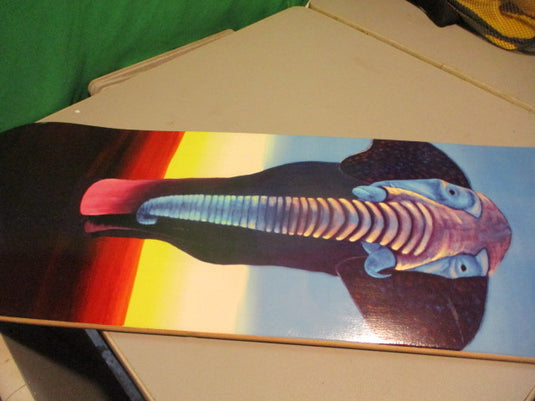 Used Vexxet Skateboard Deck
