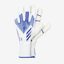 Load image into Gallery viewer, New Adidas Predator Pro GL Soccer Goalie Gloves Size 10.5 - Blue &amp; White
