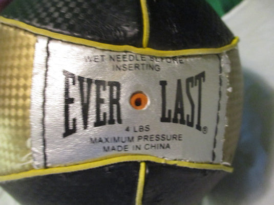 Used Everlast Speed Bag