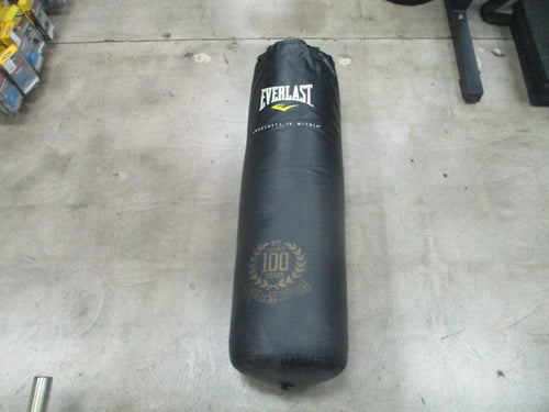 Used Everlast 100lb Heavy Bag (Wear On Straps)