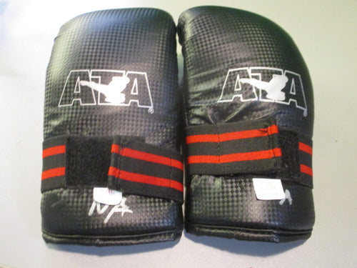 Used ATA MArtial Arts Gloves Size Child