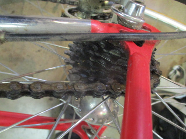 Load image into Gallery viewer, Vintage Fuji Team Fuji 22&quot; 12 Speed Road Bike
