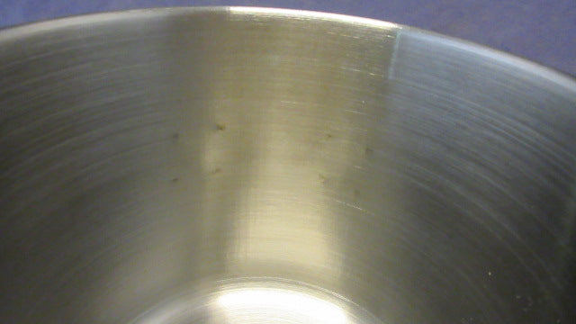 Load image into Gallery viewer, Used Ozark Trail 18 oz Stainless Steel Cup
