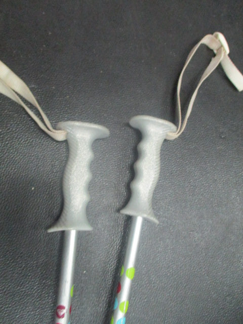 Load image into Gallery viewer, Used Roxy 33&quot; Downhill Ski Poles
