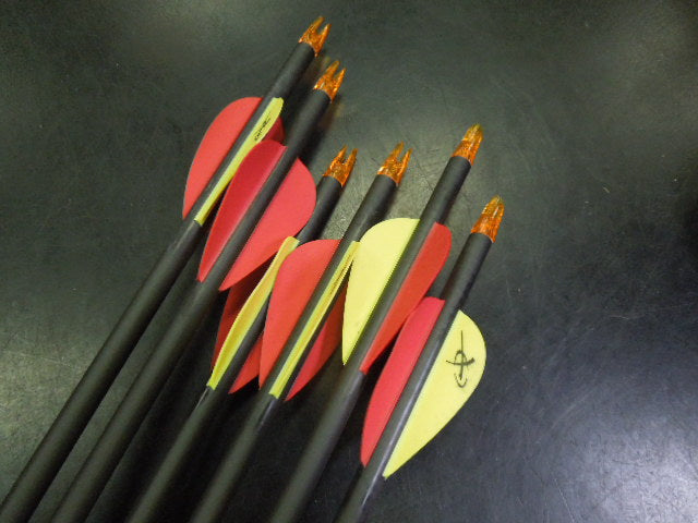 Load image into Gallery viewer, Used Vista Archery Quiver with 6 Mach5 Carbon EX Arrows
