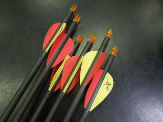 Used Vista Archery Quiver with 6 Mach5 Carbon EX Arrows