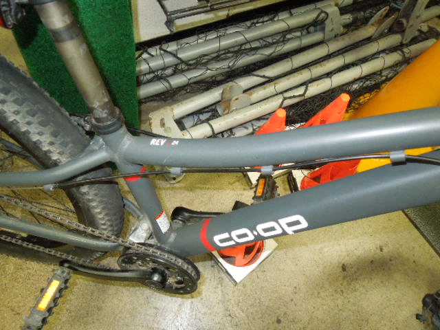 Load image into Gallery viewer, Used REI Co-op Cycles REV 24 Youth Mountain Bike
