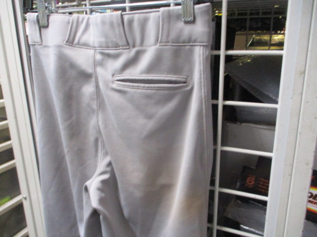 Load image into Gallery viewer, Used Champro Grey Baseball Pants Size Youth XL
