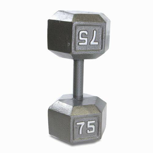 NEW Apollo Athletics 75lb Hex Dumbbell