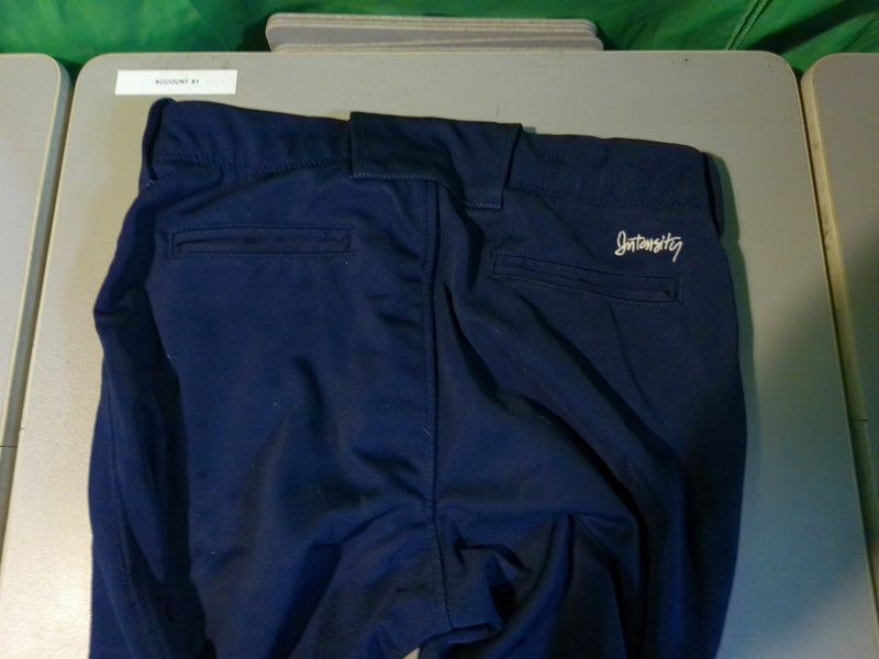 Load image into Gallery viewer, Used Intensity Blue Womens Size Small Softball Pants
