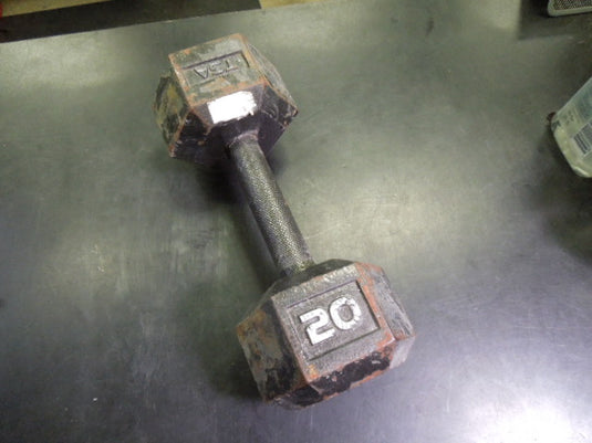 Heavy Use TSA 20 lb Hex Cast Iron Dumbbell