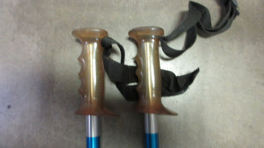 Used Rossignol 50" Ski Poles