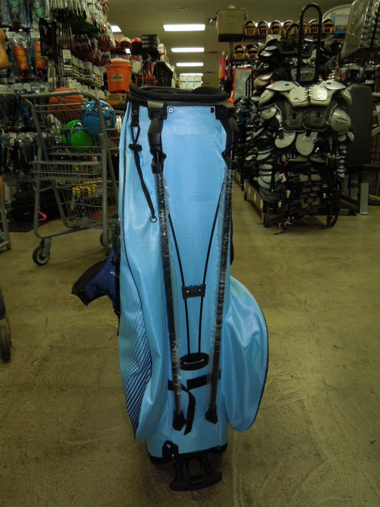 Load image into Gallery viewer, Like New Boyeaskulleap Light Weight Gold Stand Bag
