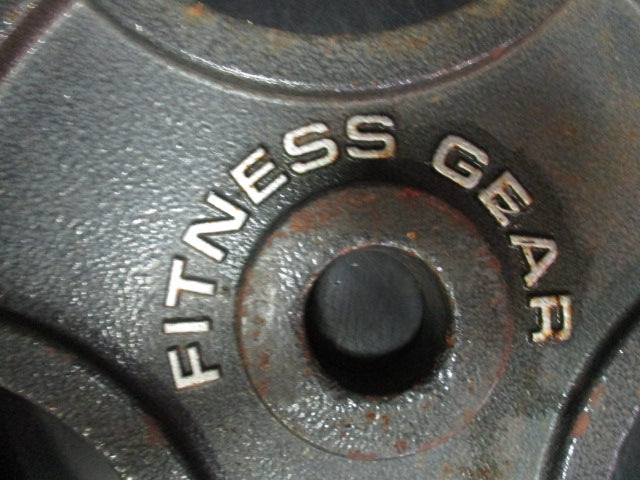Load image into Gallery viewer, Used Fitness Gear Cast Iron 45LB Weight Plate
