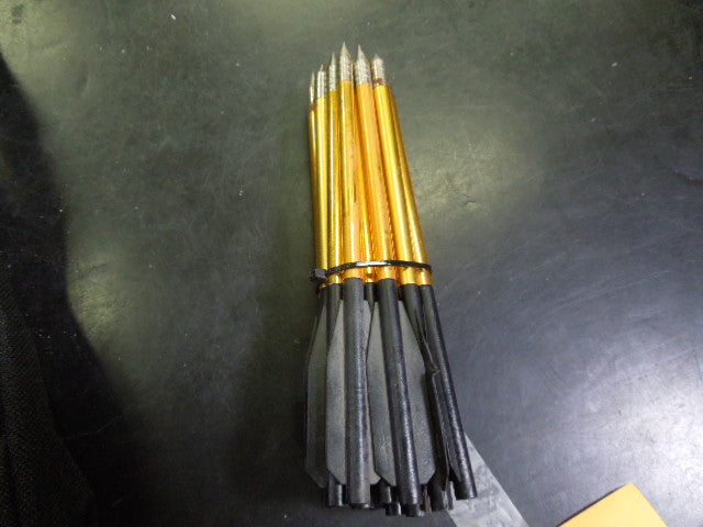 Load image into Gallery viewer, Used Kings Archery Mini Crossbow with 22 Mini Arrows
