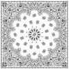 Load image into Gallery viewer, New Hav-A-Hank Bandana - Assorted Colors
