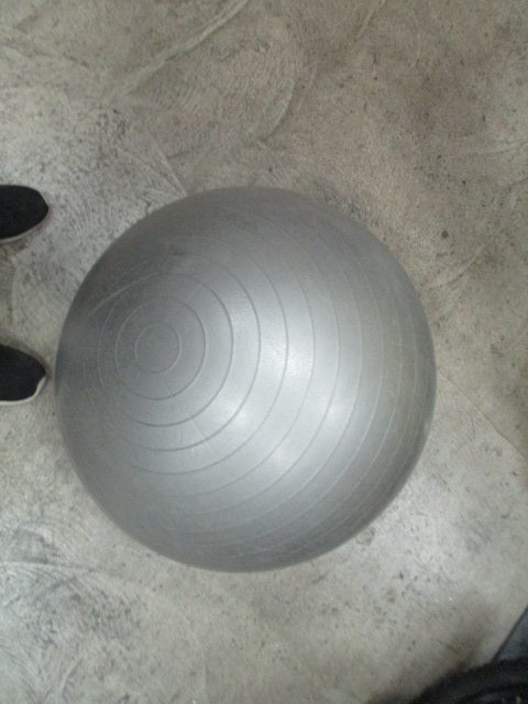 Load image into Gallery viewer, Used Jillian Michaels 55Cm Exercise Ball
