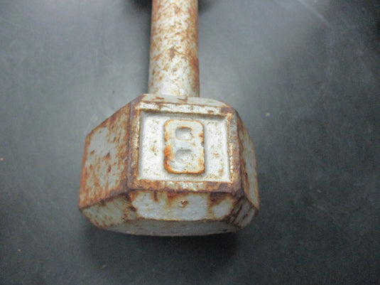 Used 8 LB Cast Iron Dumbbell