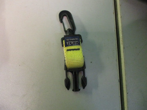 Used Dive Buckle